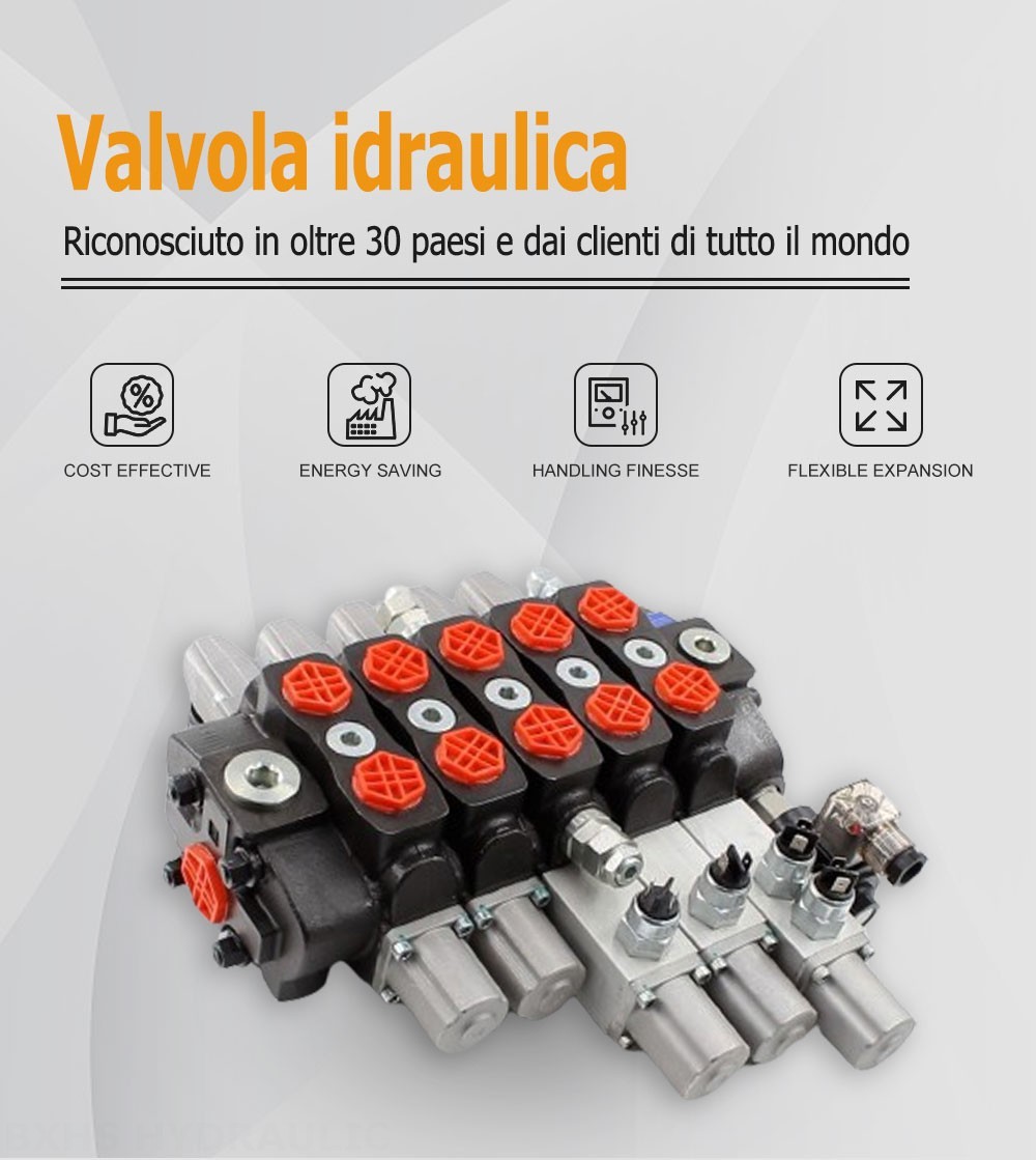 SD8 Manuale 5 Spool Valvola direzionale sezionale